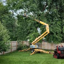 Leaf Removal in Diamond Ridge, AK